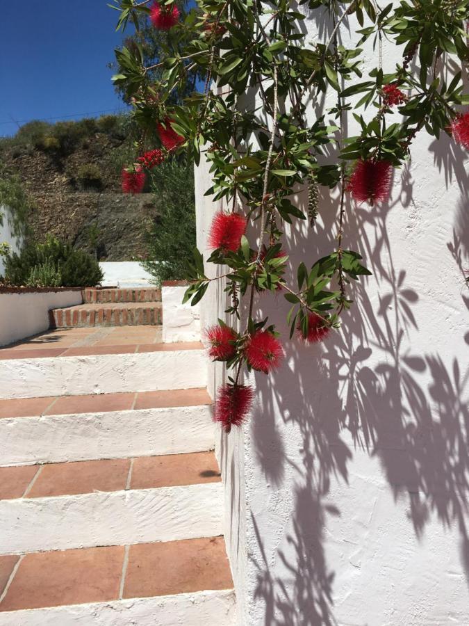 B&B And Apartments Cortijo La Zapatera Canillas de Aceituno 外观 照片