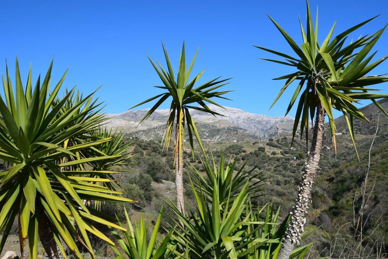 B&B And Apartments Cortijo La Zapatera Canillas de Aceituno 外观 照片