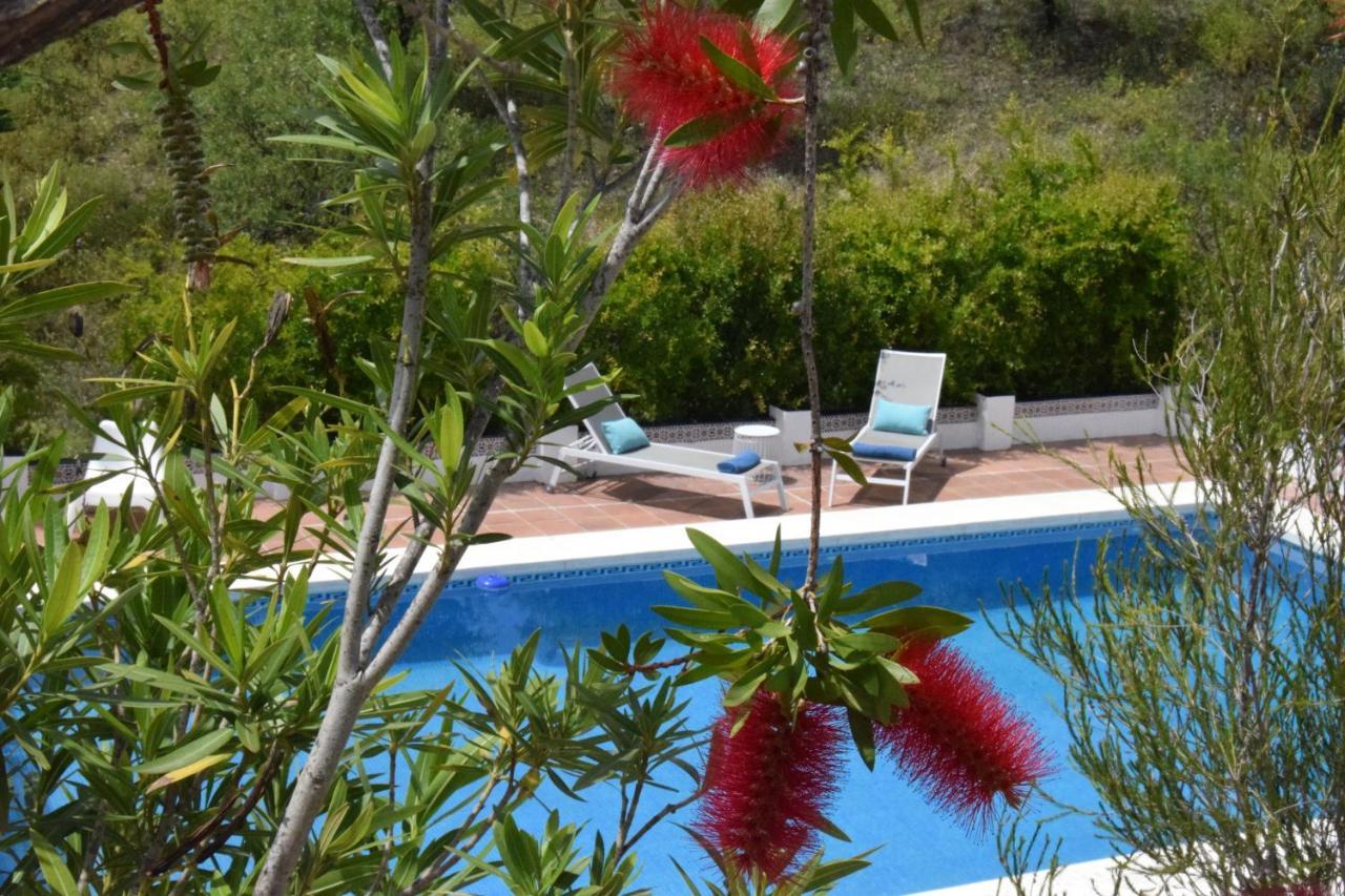 B&B And Apartments Cortijo La Zapatera Canillas de Aceituno 外观 照片