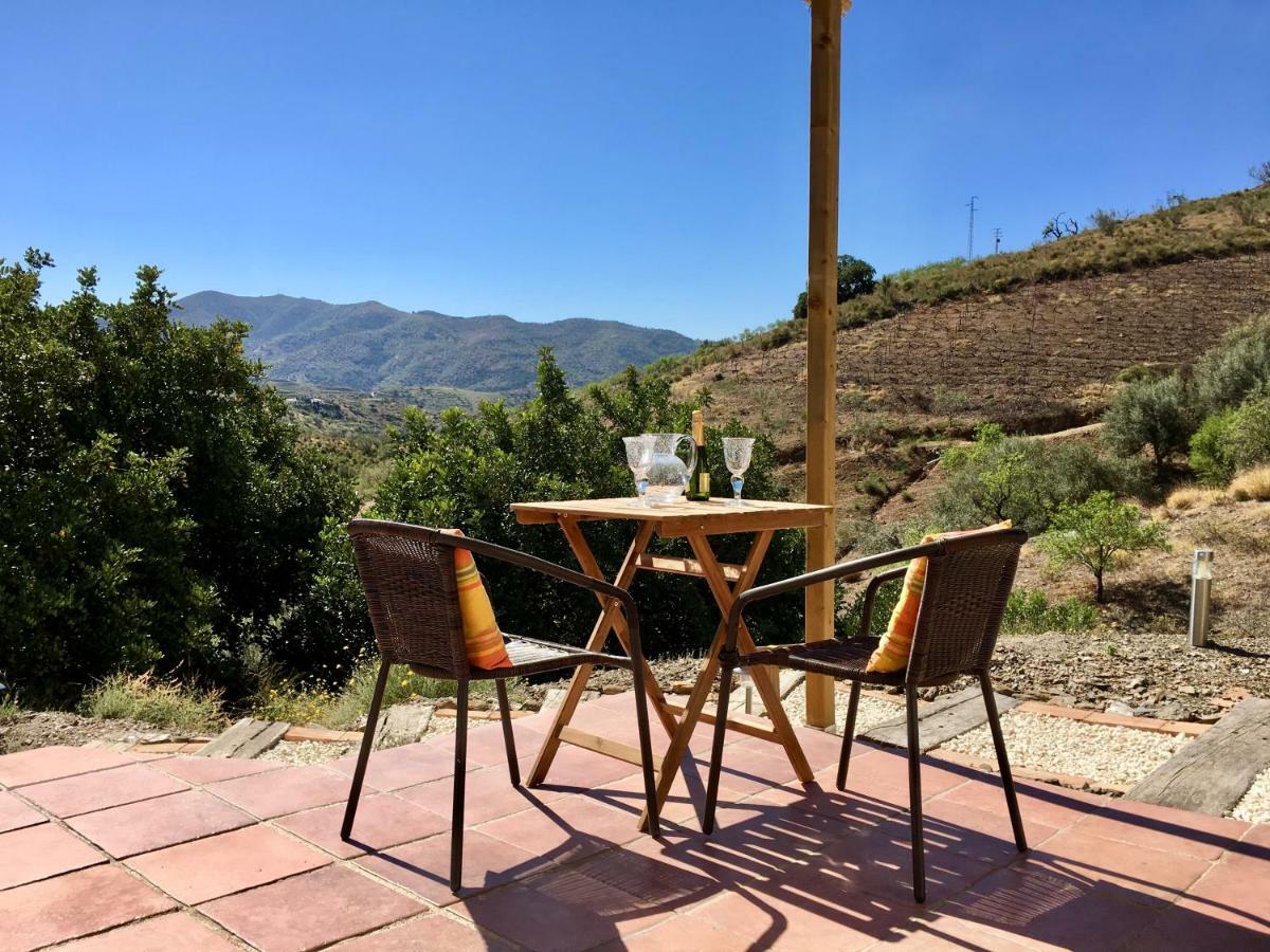 B&B And Apartments Cortijo La Zapatera Canillas de Aceituno 外观 照片