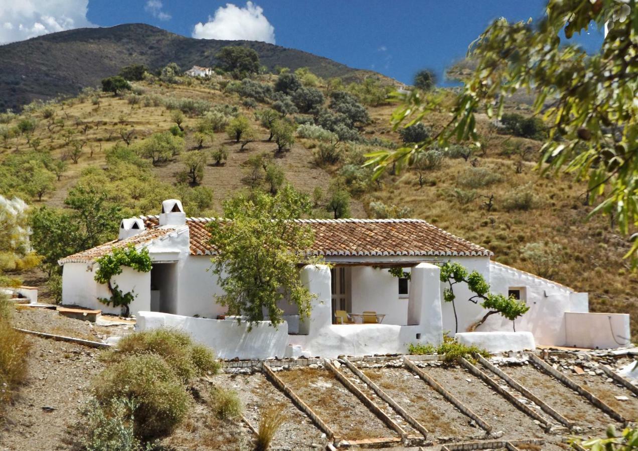 B&B And Apartments Cortijo La Zapatera Canillas de Aceituno 外观 照片